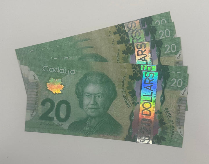 Canadian 20 dollar placeholder money | placeholder play money | placeholder slips  | Papernerdco